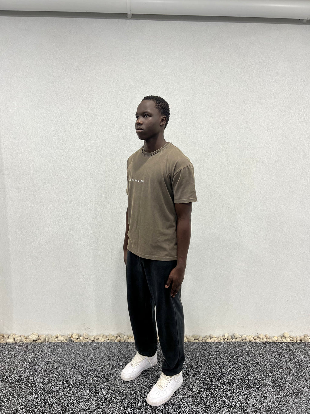 Le distressed oversize tee